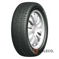 Автошина Habilead IceMax RW505 195/55 R16 87H