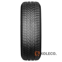 Автошина Paxaro INVERNO 195/55 R16 87H