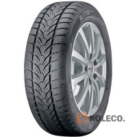 Автошина Platin RP 60 Winter 245/45 R18 100V XL