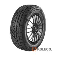 Автошина Powertrac Snowmarch 245/55 R19 107H XL