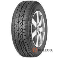 Автошина Paxaro Winter 225/55 R17 101V XL