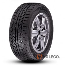Автошина Roadx RXFrost WH01 205/55 R16 91H