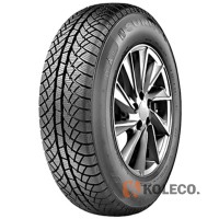 Автошина Sunny Winter-maX U1 NW611 185/65 R15 88T