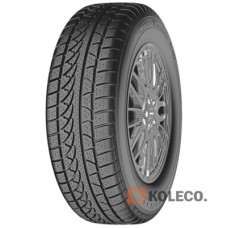 Автошина Petlas Snow Master W651 205/50 R17 93V XL