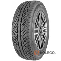 Автошина Cooper Discoverer Winter 255/45 R20 105V XL