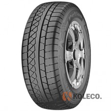 Автошина Petlas Explero Winter W671 205/70 R15 96T